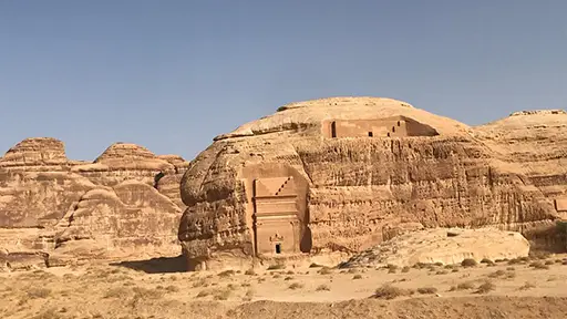 alula